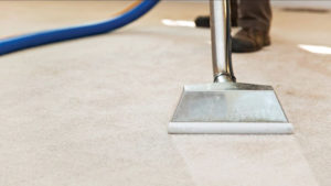 Northern Beaches Commercial carpet cleaning