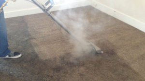 Northern Beaches Commercial carpet cleaning