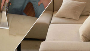 Couch cleaning Northern Beaches