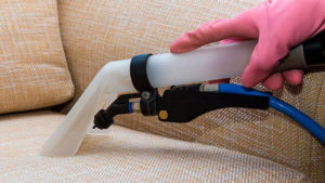 Upholstery cleaning Northern Beaches