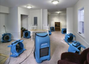 Drying Equipment
