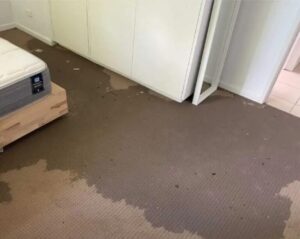 Flood Damage Restoration