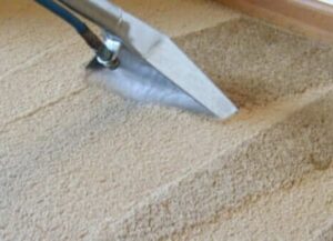professional carpet steam cleaning